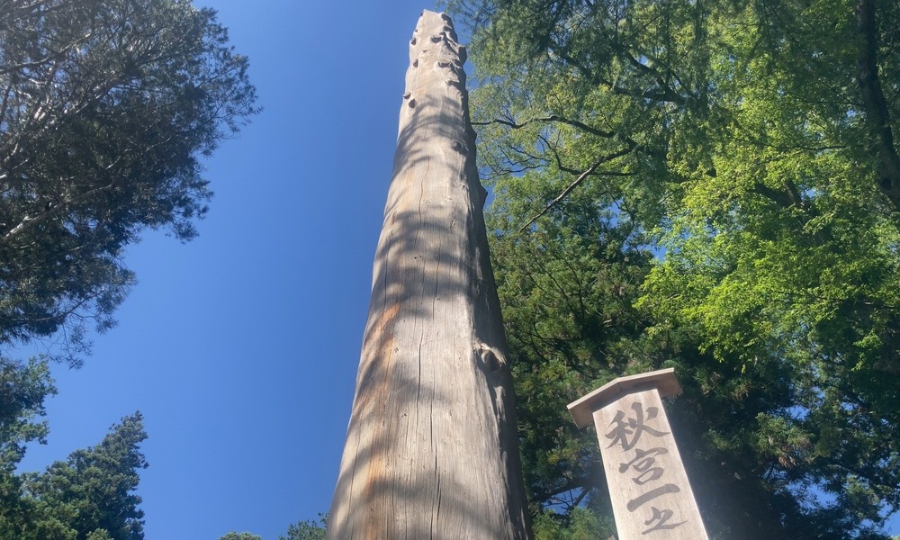 諏訪大社秋宮にそびえ立つ御柱。木落し・川越しを経て建てられた祈りの象徴。