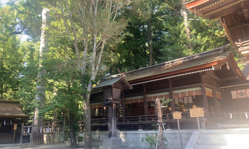 諏訪大社の境内に立つ御柱。社殿と並び、祈りと共同体の象徴としてそびえている。