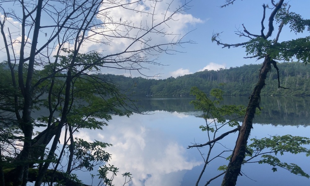青と緑が溶け合う瞬間、現実と幻の境界が揺らぎ始める。
