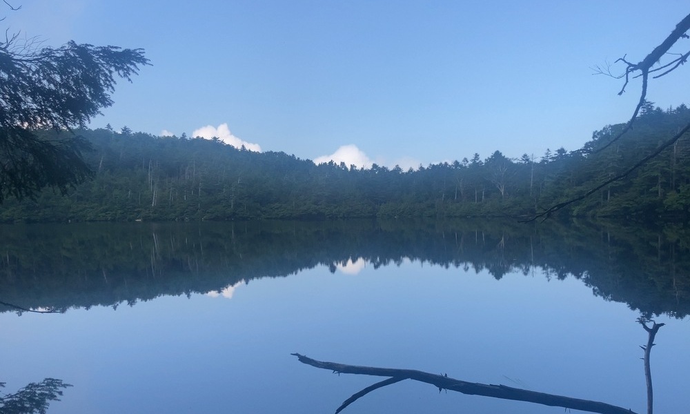 白駒池の静寂な湖面、空と森が一体となるリフレクション