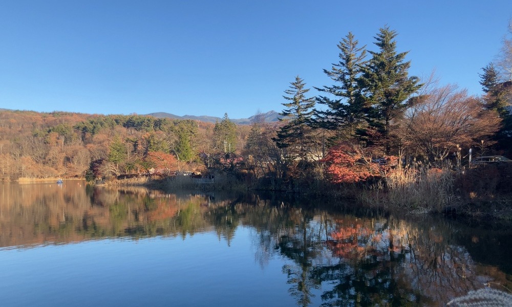 土地の一年の気配を映すように紅葉が湖面で静かに揺れる風景