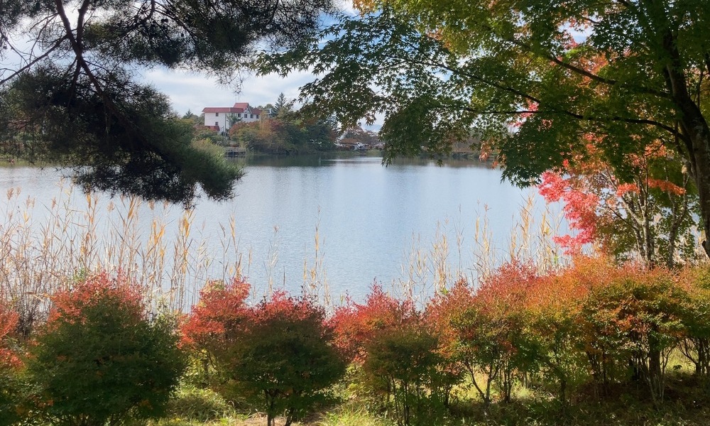 湖畔の紅葉が水面に映り込む、秋の終わりの静かな風景