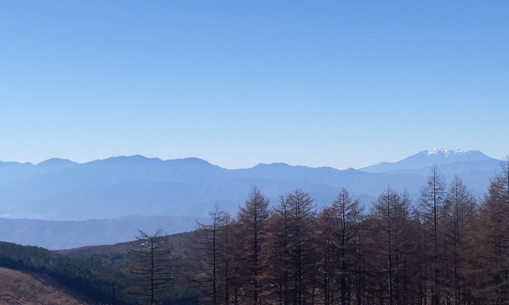 冬枯れの木立越しに連なる山々の稜線と、澄んだ青空