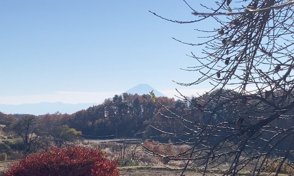 縄文遺跡のある高台から望む富士山。富士見エリアの晩秋の風景。