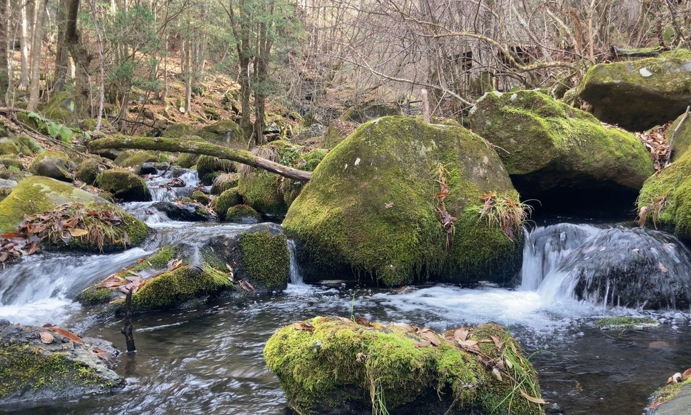 蓼科の渓流で、水が流れ続ける中に静かに佇む苔むした岩。