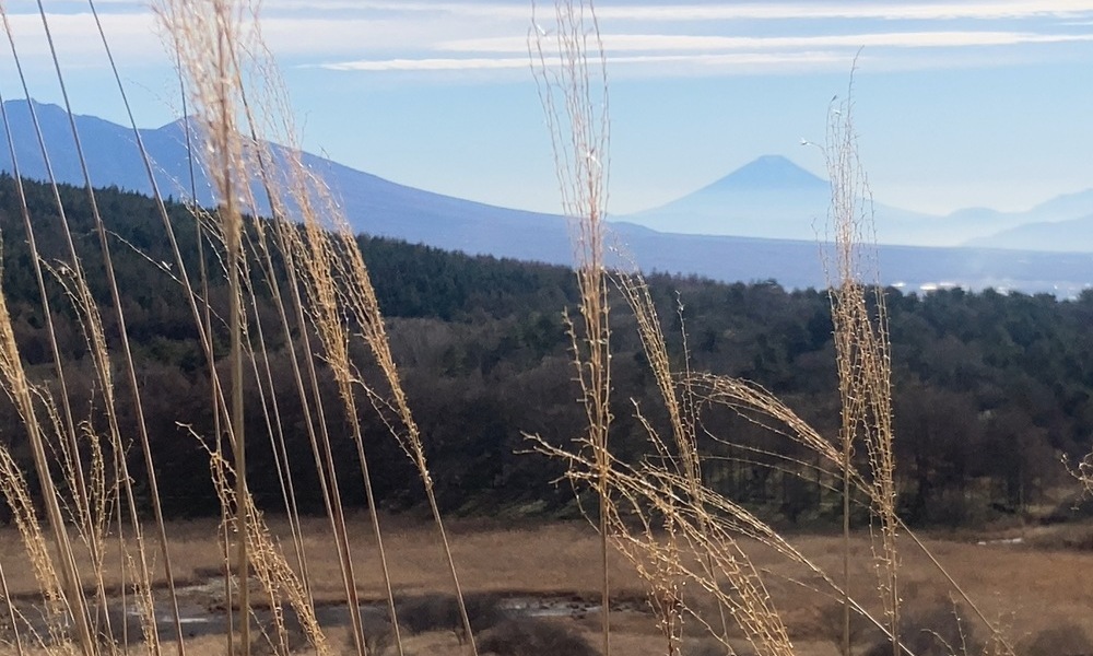 諏訪盆地を見下ろす高原の草原と山並み、甲斐の国の先に見える富士山