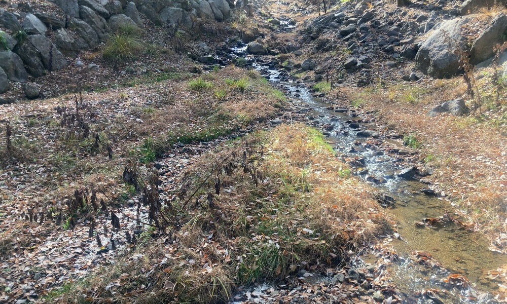 岩の間を縫うように細く流れる山間の水路。水量は少なく、流路は一定せず、周囲には乾いた草地と石が広がっている。