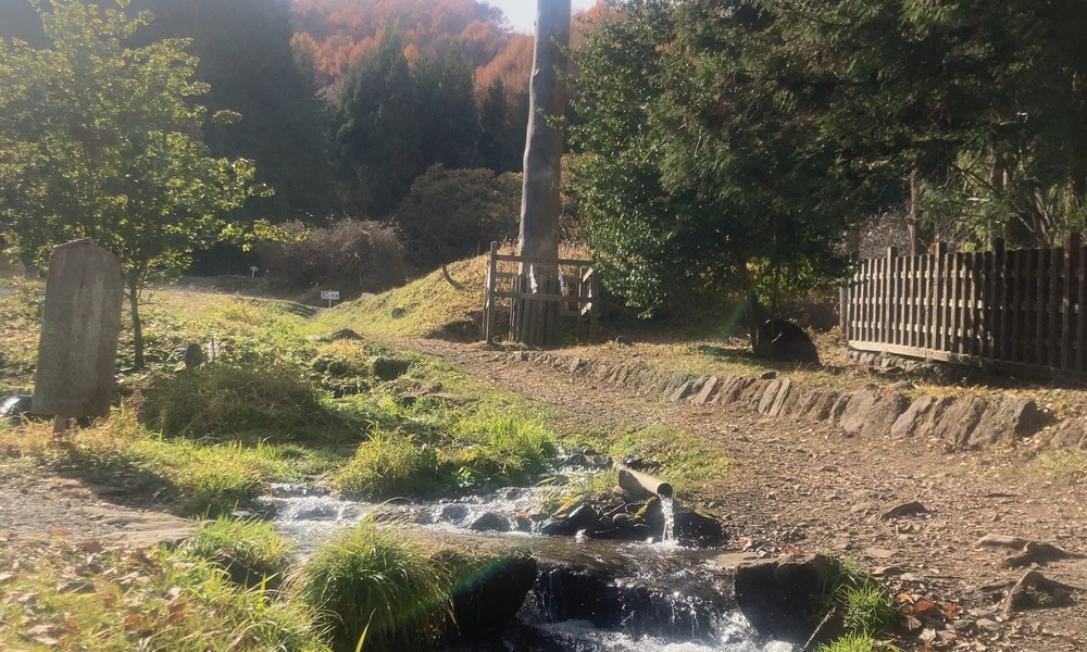 人の暮らしと自然の時間が重なり続ける、消えきらない境界の水辺。