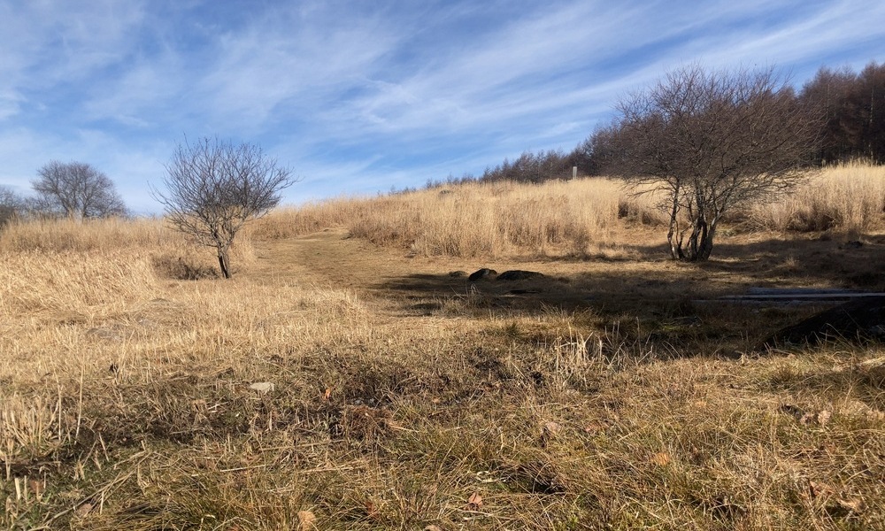 長野県・旧御射山の草原斜面。霧ヶ峰高原に続くゆるやかな地形と、かつての祭場周辺に残る原野の風景