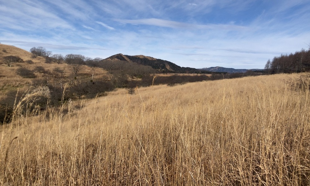 旧御射山周辺の草原地形。黄金色の枯草と緩やかな起伏の向こうに山並みが連なり、祭祀が風景と一体化していた痕跡が残る