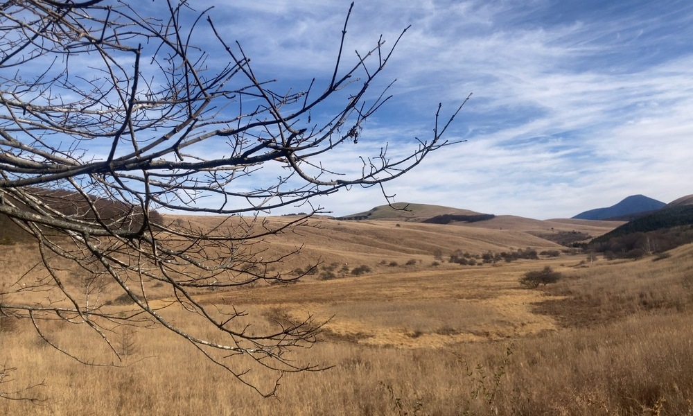 草原を見下ろす風景。手前に裸木の枝が入り、奥に起伏する丘と遠景の山並みが広がる景観