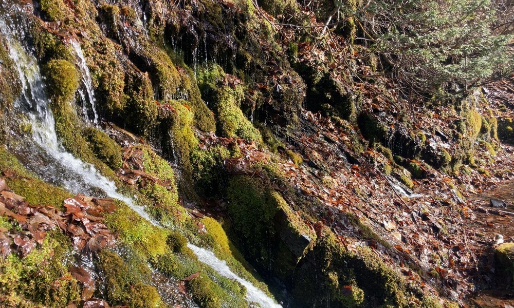 岩肌から湧いた水が苔の斜面を静かに流れる山の岩場