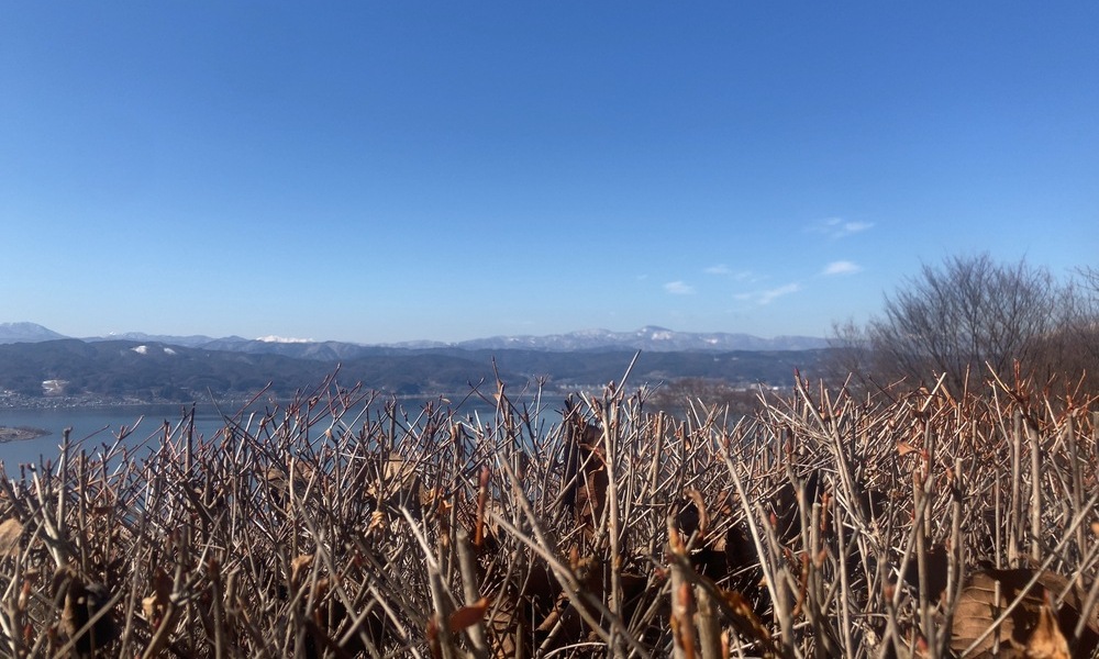 草地越しに見える諏訪湖と遠い山々