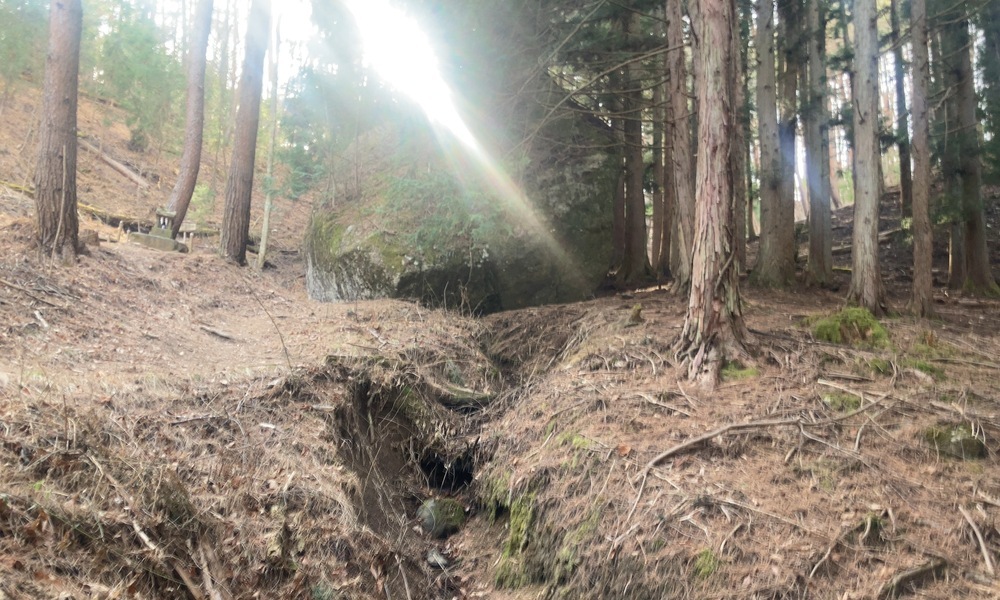 小袋石へ向かう森の斜面と光差す沢筋