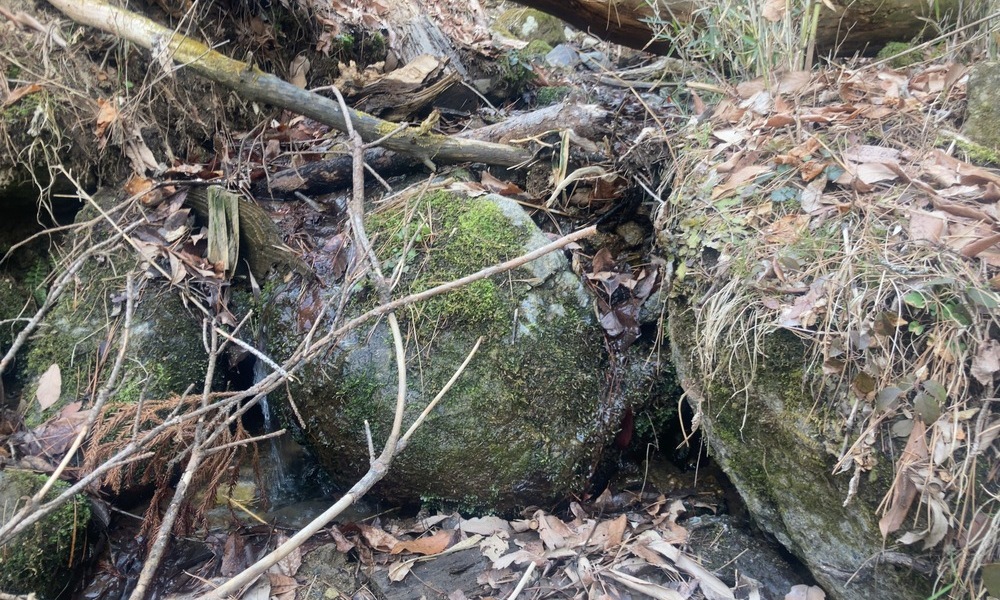 小袋石のそばを流れる沢筋と苔むした岩