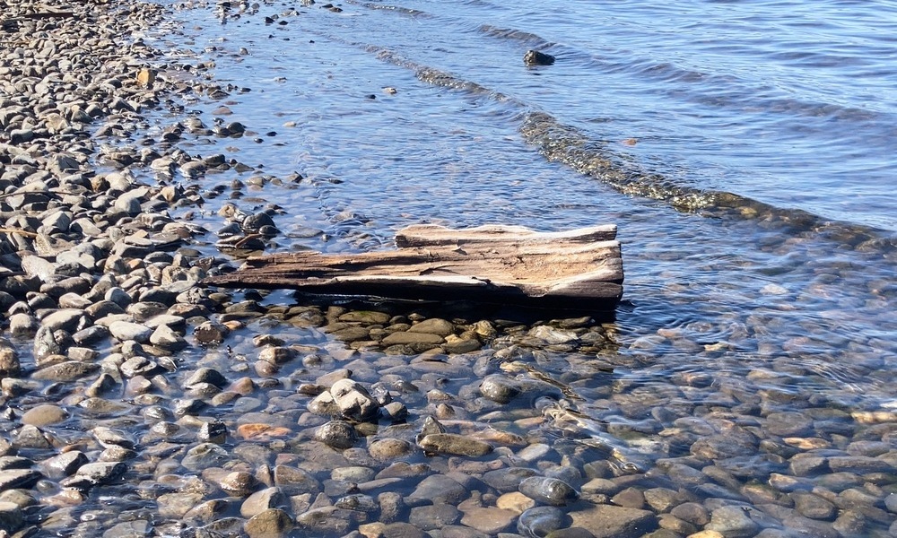 諏訪湖の浅瀬に打ち寄せる小さな波と流木