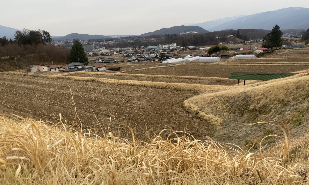 茅野の畑地越しに広がる里山と集落の風景