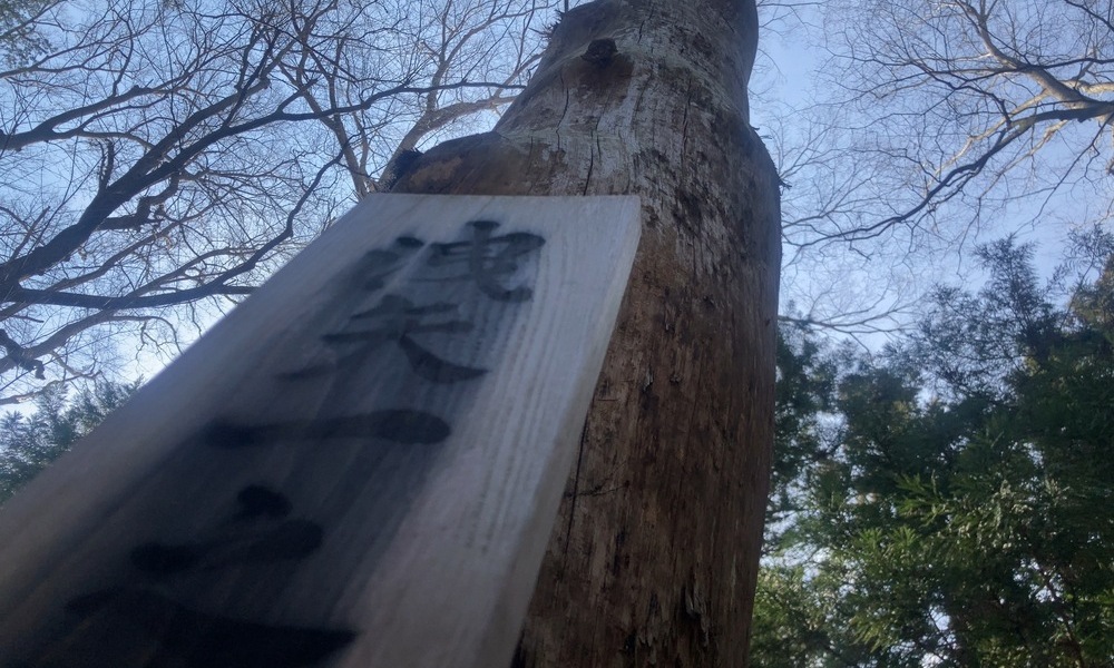 洩矢神社の御柱を見上げる構図。空へ伸びる柱が、諏訪に残された記憶の層を静かに感じさせる風景