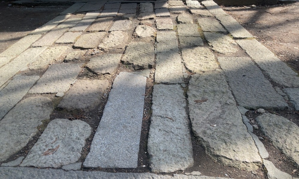 石畳の参道に木漏れ日が落ち、問いを持って土地を歩き始める感覚を静かに残す風景
