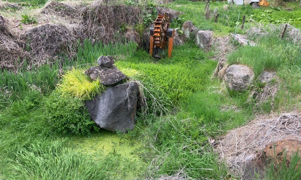 草に埋もれた岩と小さな水たまりが残り、磐長姫命を象徴する静かな時間が地表に留まる風景