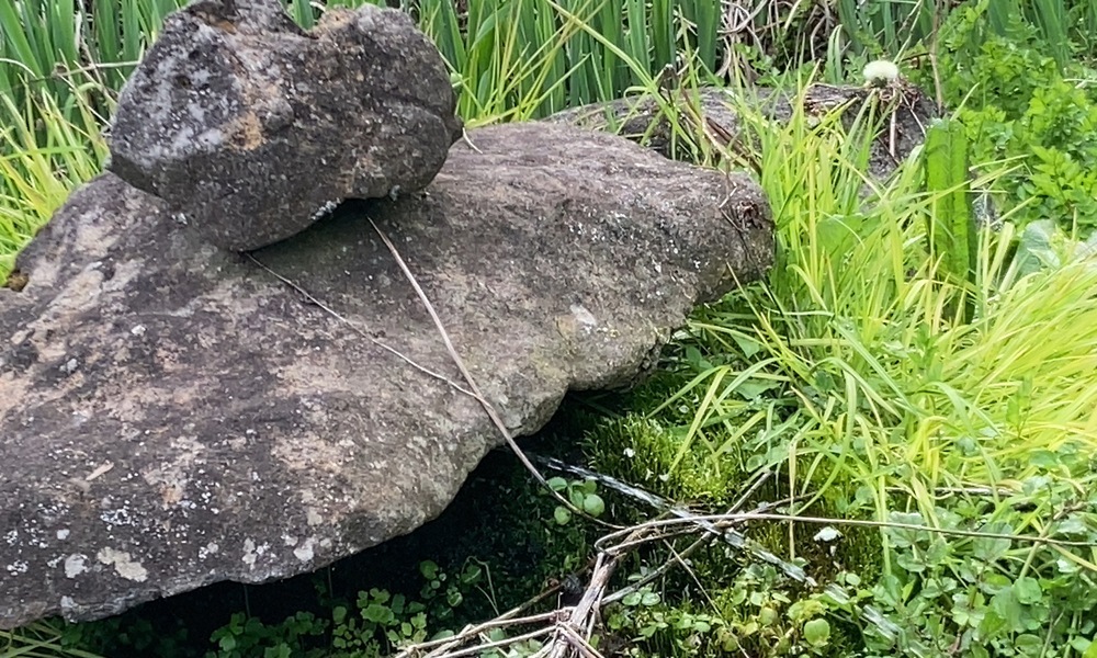 草の中に重なる岩が静かに残り、磐長姫命を象徴する「在り続けるもの」の気配を感じさせる風景