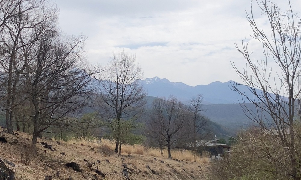 葉を落とした木々の間に広がる八ヶ岳の稜線、変わらず在り続ける山の静かな余韻を映す風景