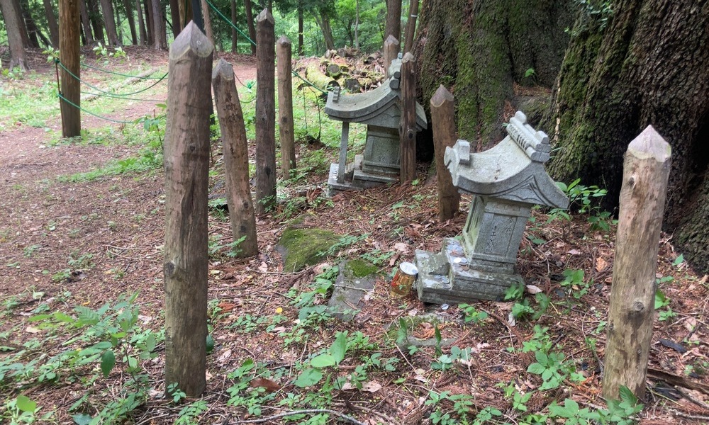 苔むした石祠と石柱が並ぶ諏訪の祭祀跡、名前のない力の気配