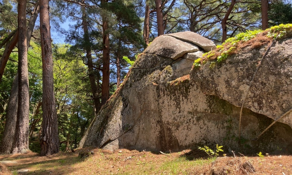 上原城跡に残る巨大な磐座。松林に囲まれた岩肌が、諏訪氏の山城と祈りの記憶を今に残している。