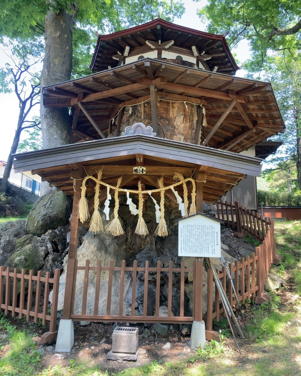 葛井神社の御神木。落雷で幹を失いながらも、接木によって受け継がれた七百年の欅が、土地の記憶を静かに残している。