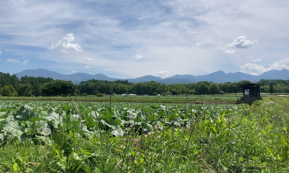 標高1000メートル前後に広がる原村の高原農地