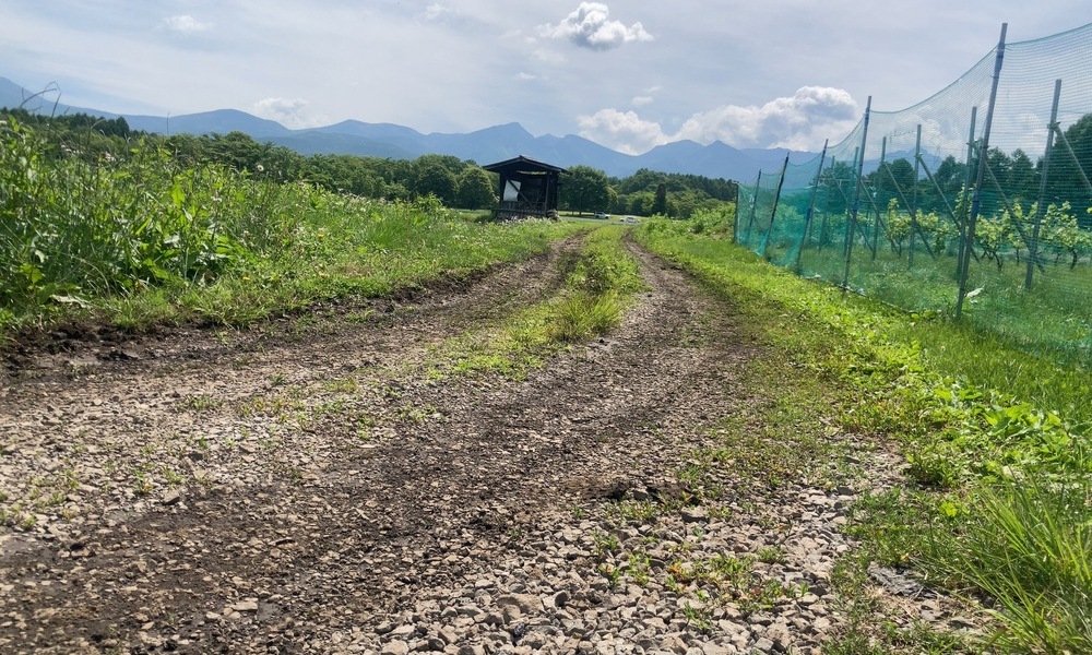 八ヶ岳西麓ワインバレーの未来へ続く農道